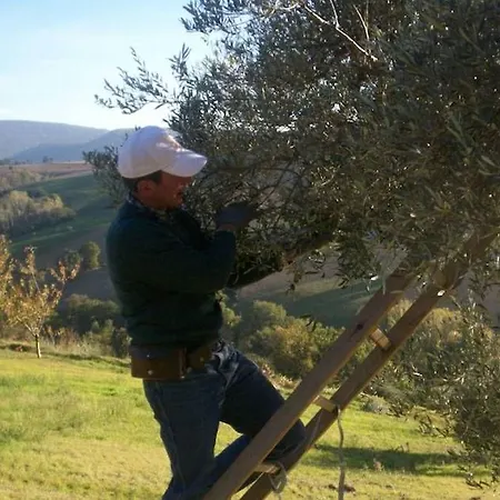 B&B Ziamelia Cingoli