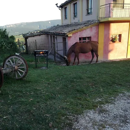 B&B Ziamelia
