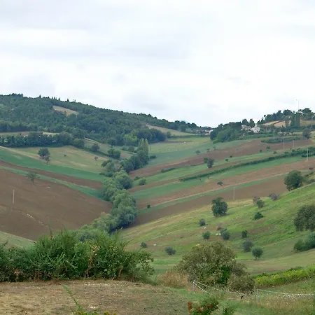 B&B Ziamelia * Cingoli