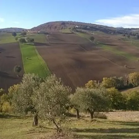 B&B Ziamelia Panzió Cingoli